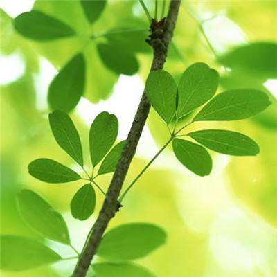 龙城战歌紫霞传奇手游下载